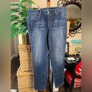 Inc Denim Blue Regular Fit Skinny Jeans Size 12